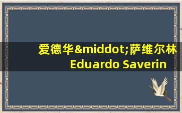 爱德华·萨维尔林Eduardo Saverin